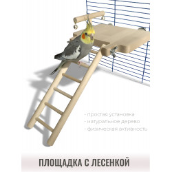 Площадка с лесенкой для попугаев из натурального дерева